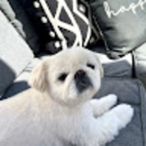 Meet your Posher, Kins